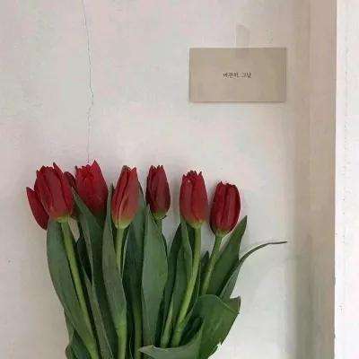 六界仙尊果盘版下载