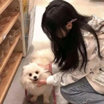 天龙八部怀旧版下载